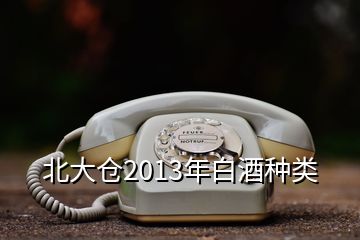 北大仓2013年白酒种类