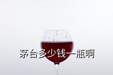 茅台多少钱一瓶啊