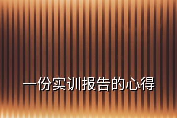 一份实训报告的心得