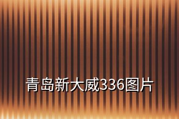 青岛新大威336图片