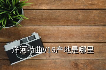 洋河特曲V16产地是哪里