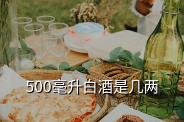 500毫升白酒是几两