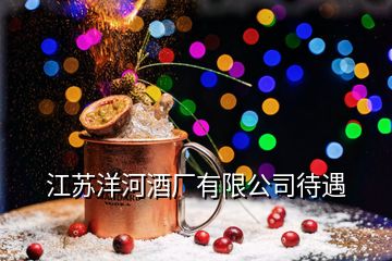 江苏洋河酒厂有限公司待遇