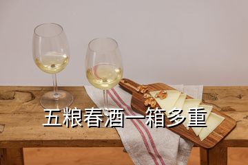 五粮春酒一箱多重