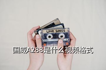 国威A288是什么视频格式