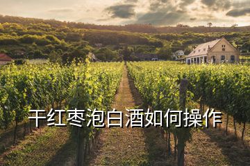 干红枣泡白酒如何操作