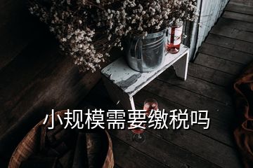 小规模需要缴税吗