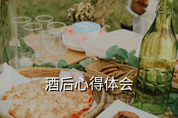 酒后心得体会