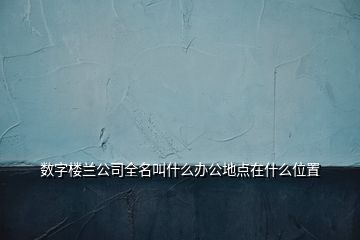 数字楼兰公司全名叫什么办公地点在什么位置