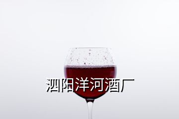 泗阳洋河酒厂