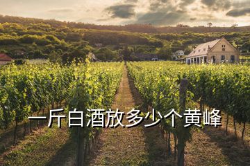 一斤白酒放多少个黄峰