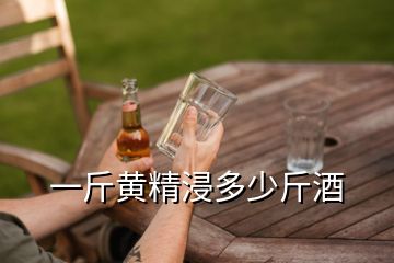 一斤黄精浸多少斤酒