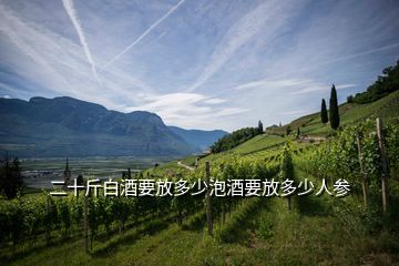 二十斤白酒要放多少泡酒要放多少人参