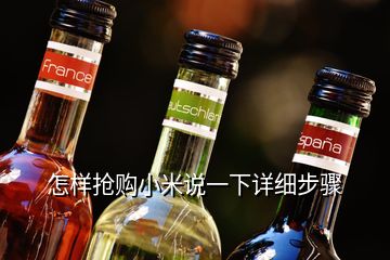 怎样抢购小米说一下详细步骤