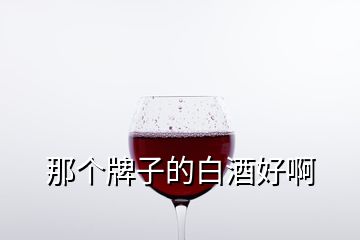 那个牌子的白酒好啊