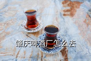 肇庆啤酒厂怎么去