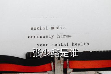 张少鑫是谁