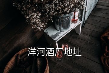 洋河酒厂地址