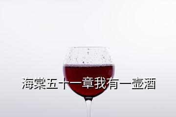 海棠五十一章我有一壶酒