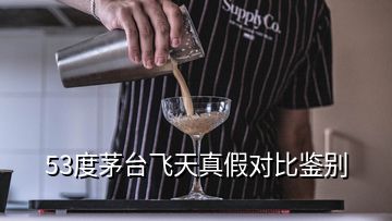 53度茅台飞天真假对比鉴别