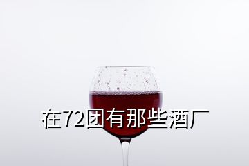 在72团有那些酒厂