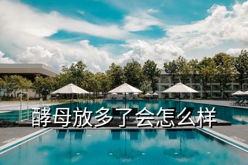 酵母放多了会怎么样