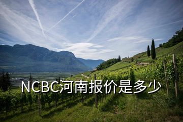 NCBC河南报价是多少