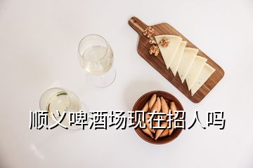 顺义啤酒场现在招人吗