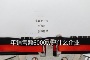 年销售额6000w算什么企业