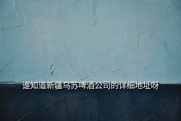 谁知道新疆乌苏啤酒公司的详细地址呀