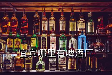 宜宾哪里有啤酒厂