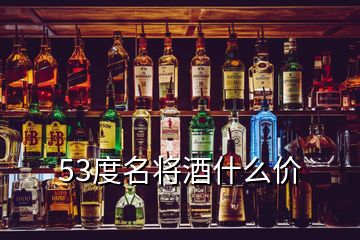 53度名将酒什么价