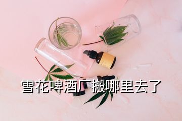 雪花啤酒厂搬哪里去了