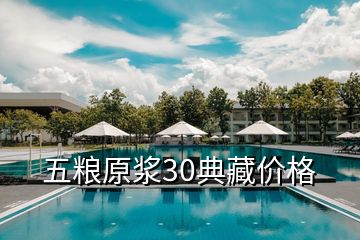 五粮原浆30典藏价格