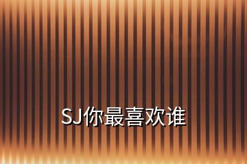 SJ你最喜欢谁