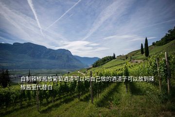 自制辣椒酱放葡萄酒渣可以吗自己做的酒渣子可以放到辣椒酱里代替白