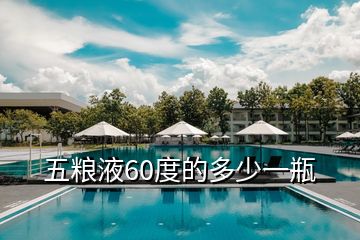 五粮液60度的多少一瓶