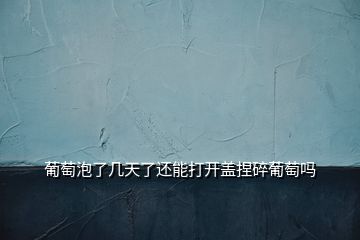 葡萄泡了几天了还能打开盖捏碎葡萄吗