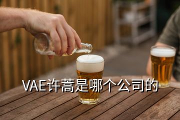 VAE许蒿是哪个公司的