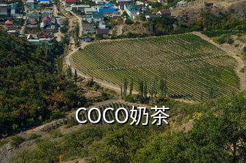 COCO奶茶