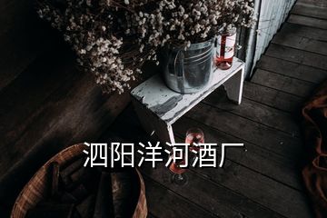 泗阳洋河酒厂