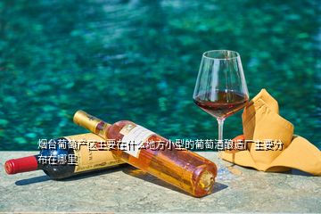 烟台葡萄产区主要在什么地方小型的葡萄酒酿造厂主要分布在哪里