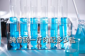 腌香肠一斤肉配多少盐