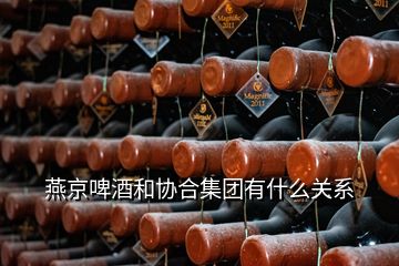 燕京啤酒和协合集团有什么关系