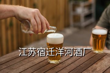 江苏宿迁洋河酒厂