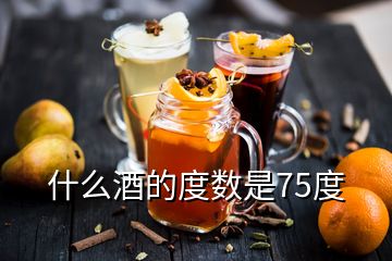 什么酒的度数是75度