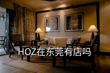 HOZ在东莞有店吗