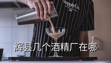 辉县几个酒精厂在哪