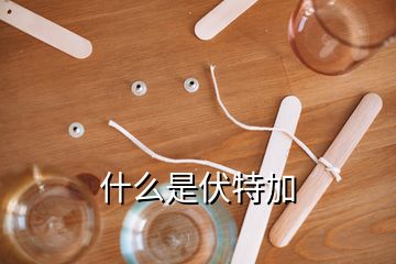 什么是伏特加