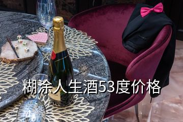 糊涂人生酒53度价格